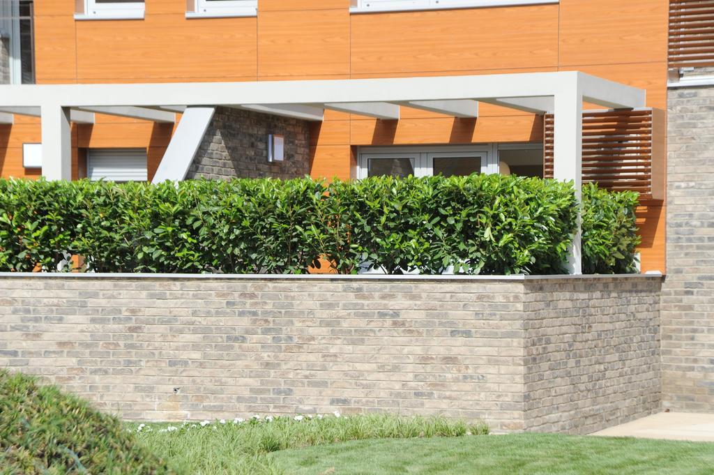 Apartment Maximus Lux Belgrad
